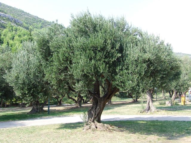 2009_0929_croatie0041