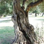 2009_0929_croatie0042