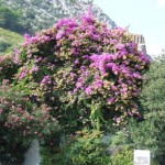 2009_0929_croatie0072