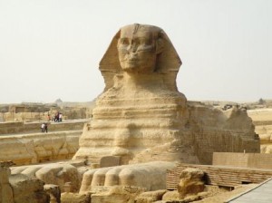 DSCF0732