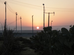 DSCF0808