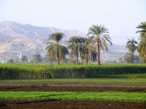 DSCF0839