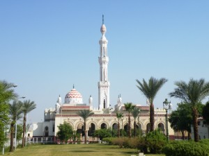 DSCF0858