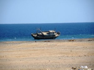 DSCF0895