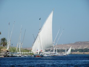 DSCF0987