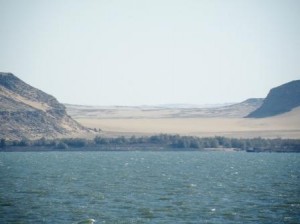 DSCF1114
