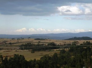 DSCF1437
