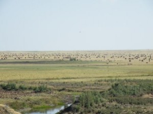 DSCF1447