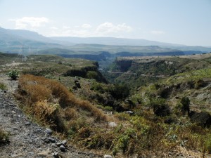 DSCF1463