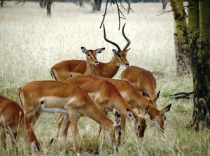 DSCF1657