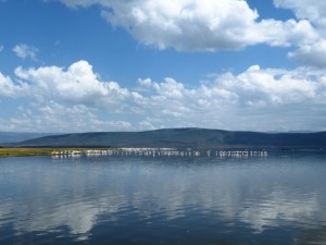 DSCF1676