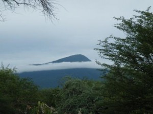 DSCF2152