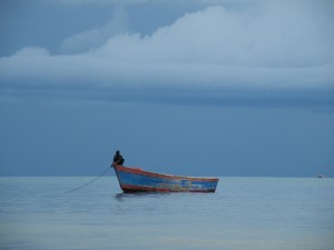 DSCF2226