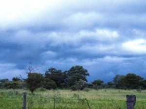 DSCF2277
