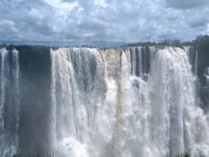DSCF2316