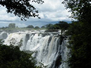 DSCF2363