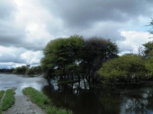 DSCF2519
