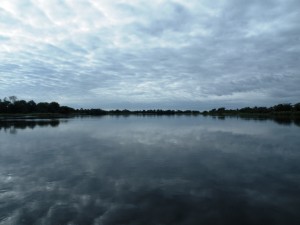 DSCF2547