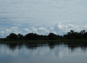 DSCF2588