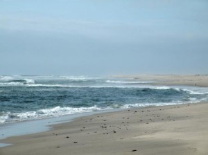 DSCF2787