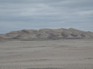 DSCF2843