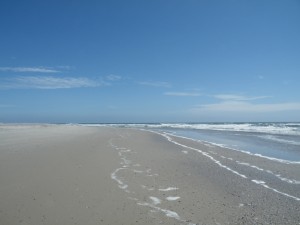 DSCF2886