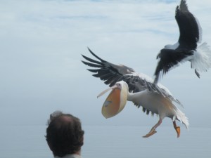DSCF2969