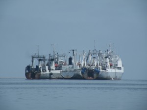 DSCF3066