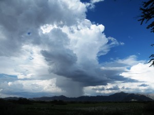 DSCF3179