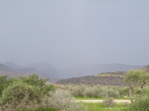 DSCF3199