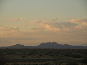 DSCF3224