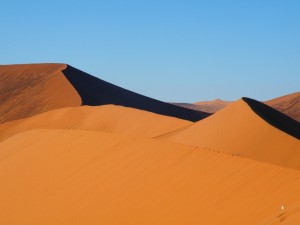 DSCF3285