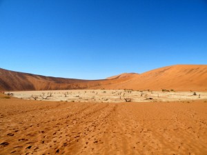 DSCF3315