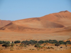 DSCF3332