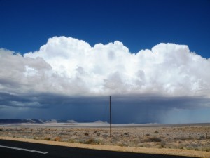 DSCF3431