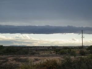 DSCF3729