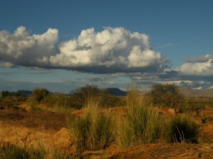 DSCF3786