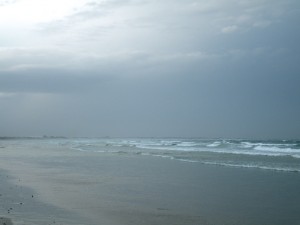 DSCF3932