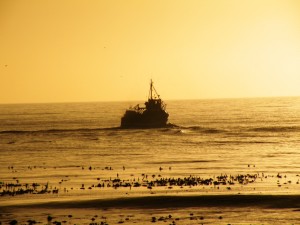 DSCF4024