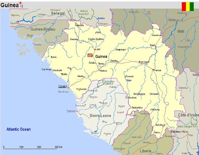 Guinea.jpg