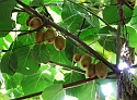 2007_0930_Italie0039