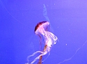 2007_1002_Italie0089
