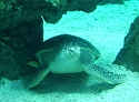 2007_1002_Italie0093