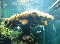 2007_1002_Italie0109