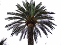 2007_1003_Italie0115