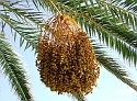 2007_1005_Italie0185