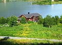 Paradise