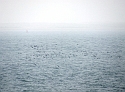 2007_1028_Texel_Okt0011