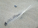 2007_1028_Texel_Okt0038
