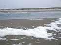 2007_1028_Texel_Okt0042